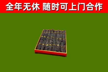 武安市回收海参